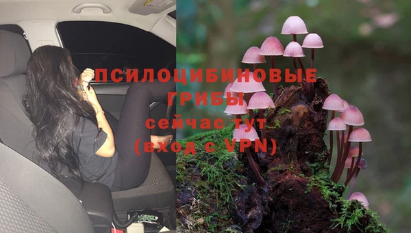 гашишное масло Инсар